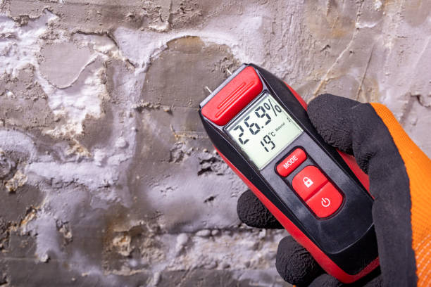 Home Mold Removal in Elizabethtown, NC