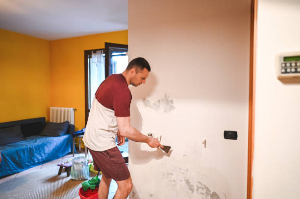 Best Professional Mold Removal  in Elizabethtown, NC